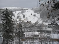 IMGP3544