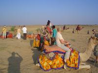 Jaisalmer, Thar-WuÌˆste, Kamelritt