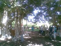 im Kibbuz 