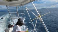 Galapagos - Ausflug nach Bartolome - Delfine gesichtet