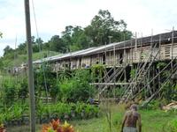 Batang_Ai_Iban_Langhaus_P1050296