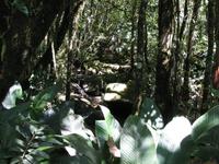 Kota_Kinabalo_Berggarten_IMG_0629