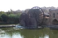 Wasserräder in Hama