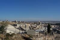 Aleppo