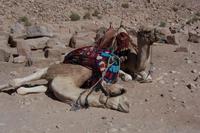 nicht nur wir sind geschafft...