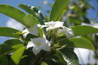 Besuch im Botanischen Garten von Mérida