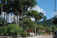 Rio Caribe