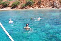 Schnorcheln im Nationalpark