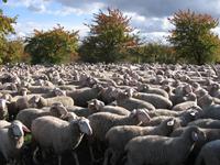 Unterwegs nach Mühlhausen