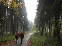 Wanderung zur Bettekeiche