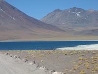Lagune Miniques
