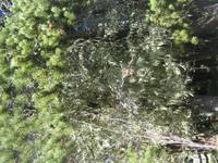 Fahrt nach Bariloche