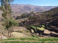 Terrassen am Colca-Fluss