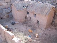 Der Meerschweinchen -stall