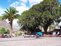 Marktplatz von Andahuaylillas mit Korallenbaum (rechts)