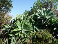 Garten der Töpferei