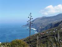 Wanderung El Tablado