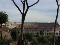 Tag 2 - Besichtigung des Palatinhügels: Blick zum Kolosseum