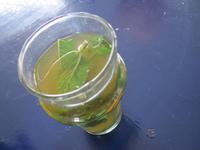 frischer Pfefferminztee