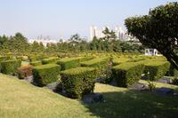 UN-Gedächtnisfriedhof