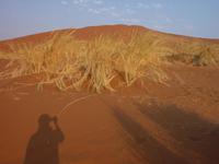 Schattenspiel in den Dünen