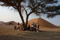 beim Picknick vor der Düne 45