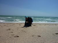 Reisebegleiterin Conny am Strand von Swakopmund