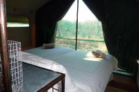 Etosha Taleni Village - ein Zeltcamp mit besonderem Charme