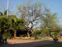 Traumlodge Uris Safari