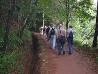 Wanderung an der Levada da Serra do Faial