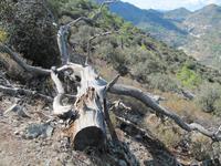 Wanderung von der Natur zur Kultur