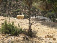 Wanderung oberhalb der Avagas-Schlucht