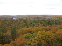 Blick vom Feuerwachturm in Dorset