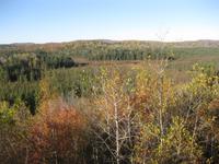Algonquin Park - Blick von der Terrasse des Besucherzentrums über den Park