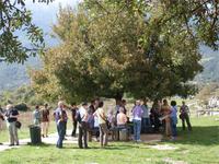 Schattige Plätzchen fanden sich in Dodona überall