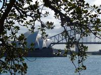 Sydney - Harbour Bridge und Oper