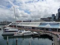 Sydney - Aquarium im Darling Harbour