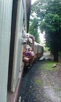 Kuranda - Paparazzi auf dem Scenic Railway