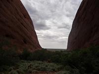 Outback - Walpa Gorge