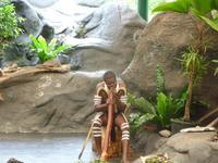 Cairns - Tjapukai Aboriginal Cultural Park