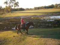 Pantanal