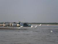 Amazonas