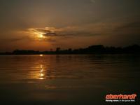 Amazonas