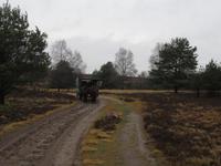Kutschfahrt durch die LÜneburger Heide