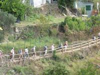 Wir in den Weinbergen