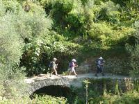 Die Brückenüberquerung