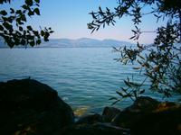 Bodenseeblick