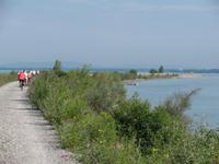 am Rheinzufluss