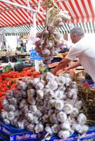 Knoblauch