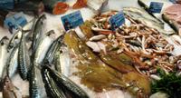 Fisch in der Markthalle in Avignon